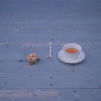 シナリオアート「nuts a tea」ジャケット