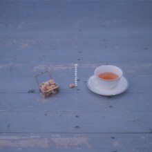 シナリオアート「nuts a tea」ジャケット