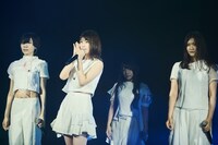 Maison book girl（撮影：稲垣謙一）