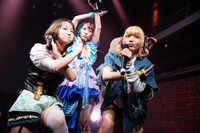 左から一十三四、征之丞十五時、凪あけぼの。（撮影：関上貴也）