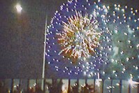 韓国・漢江で観た花（VIDEOTAPEMUSIC「ilmol（feat. Kim Na Eun） 」MVより） 。