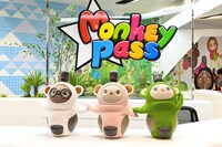 「おカネの切れ目が恋のはじまり」に登場するおもちゃ「サルー」。(c)TBS