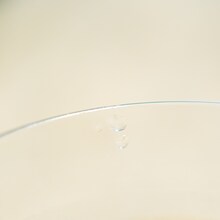 ミツメ「トニック・ラブ」配信ジャケット