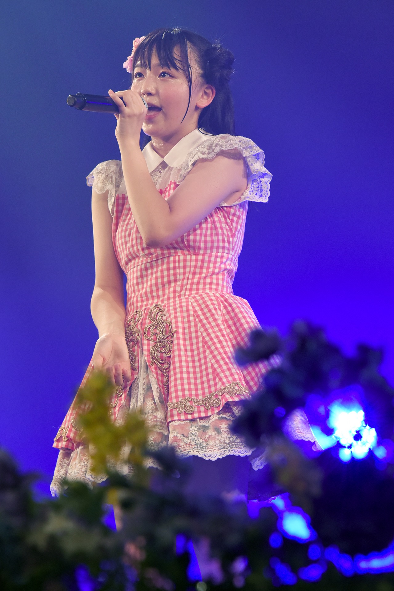 井上姫月