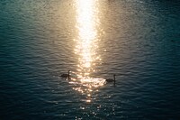 2016年チェコにて。