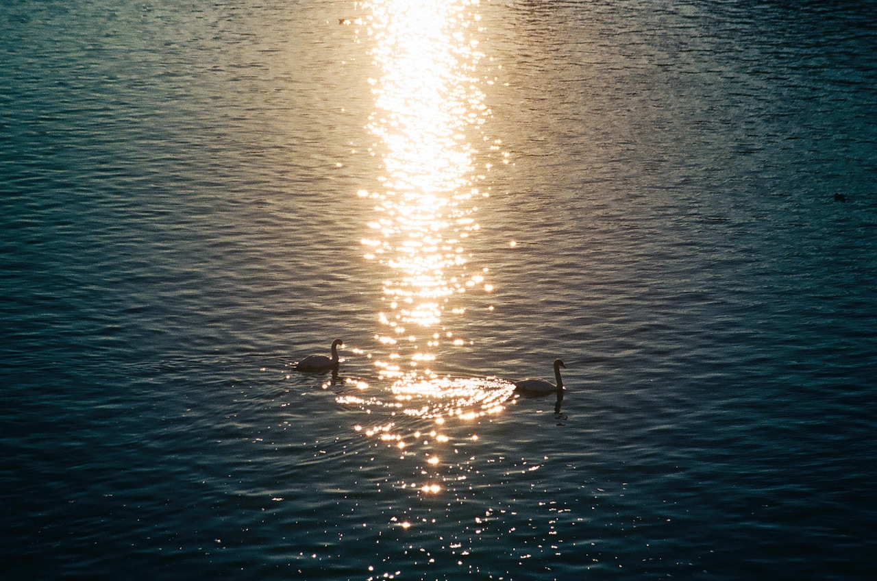 2016年チェコにて。