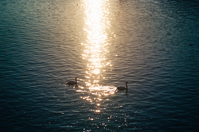 2016年チェコにて。