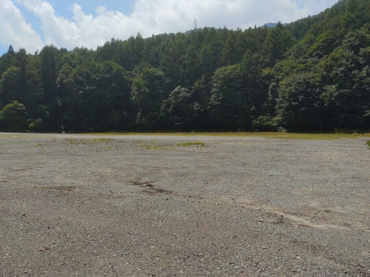 2020年夏のFIELD OF HEAVEN。