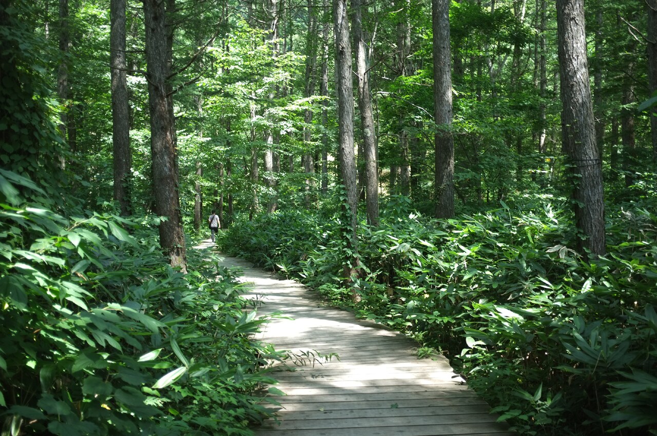 苗場インディペンデンスボードウォーク