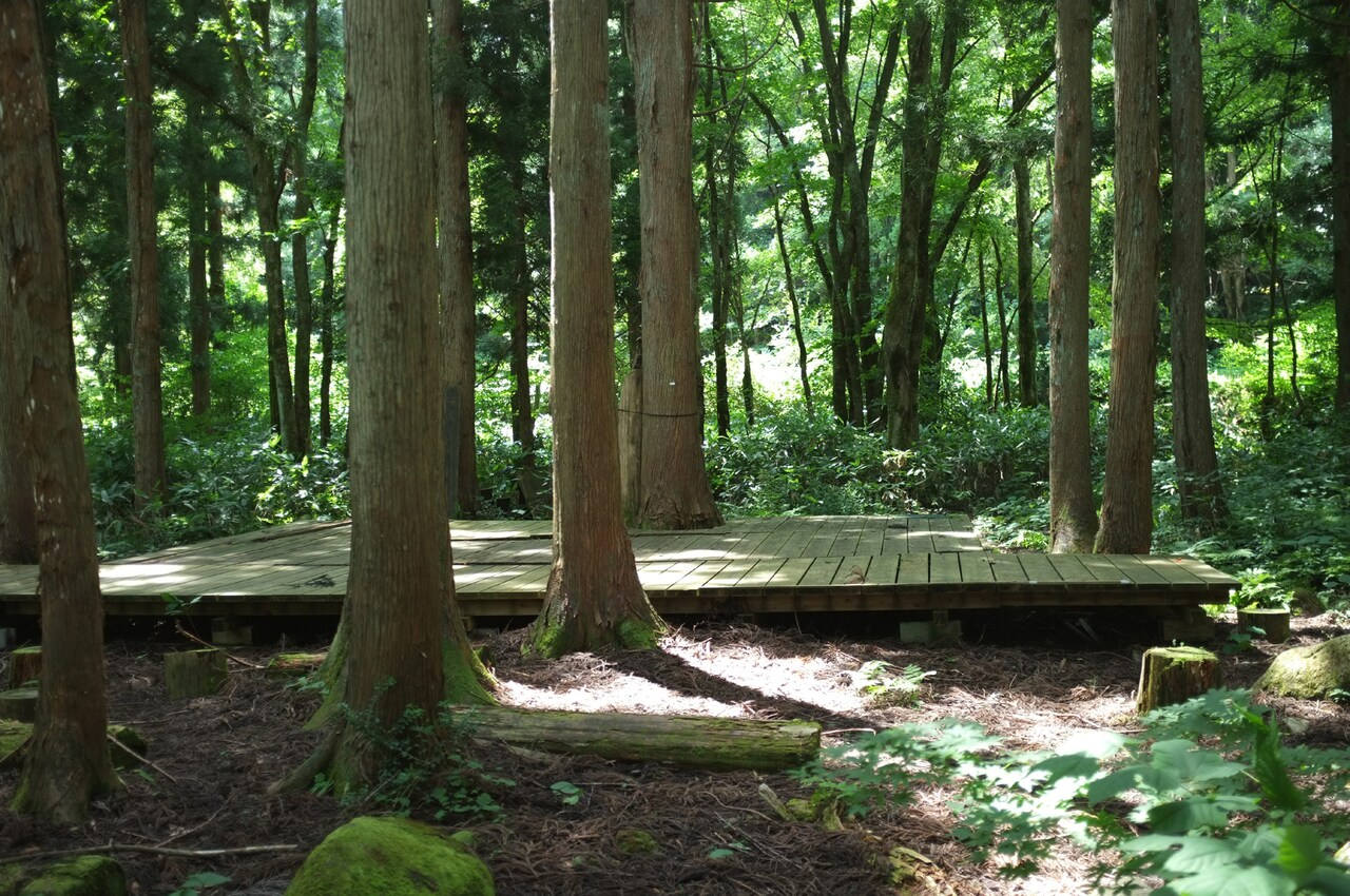 2020年夏の木道亭。