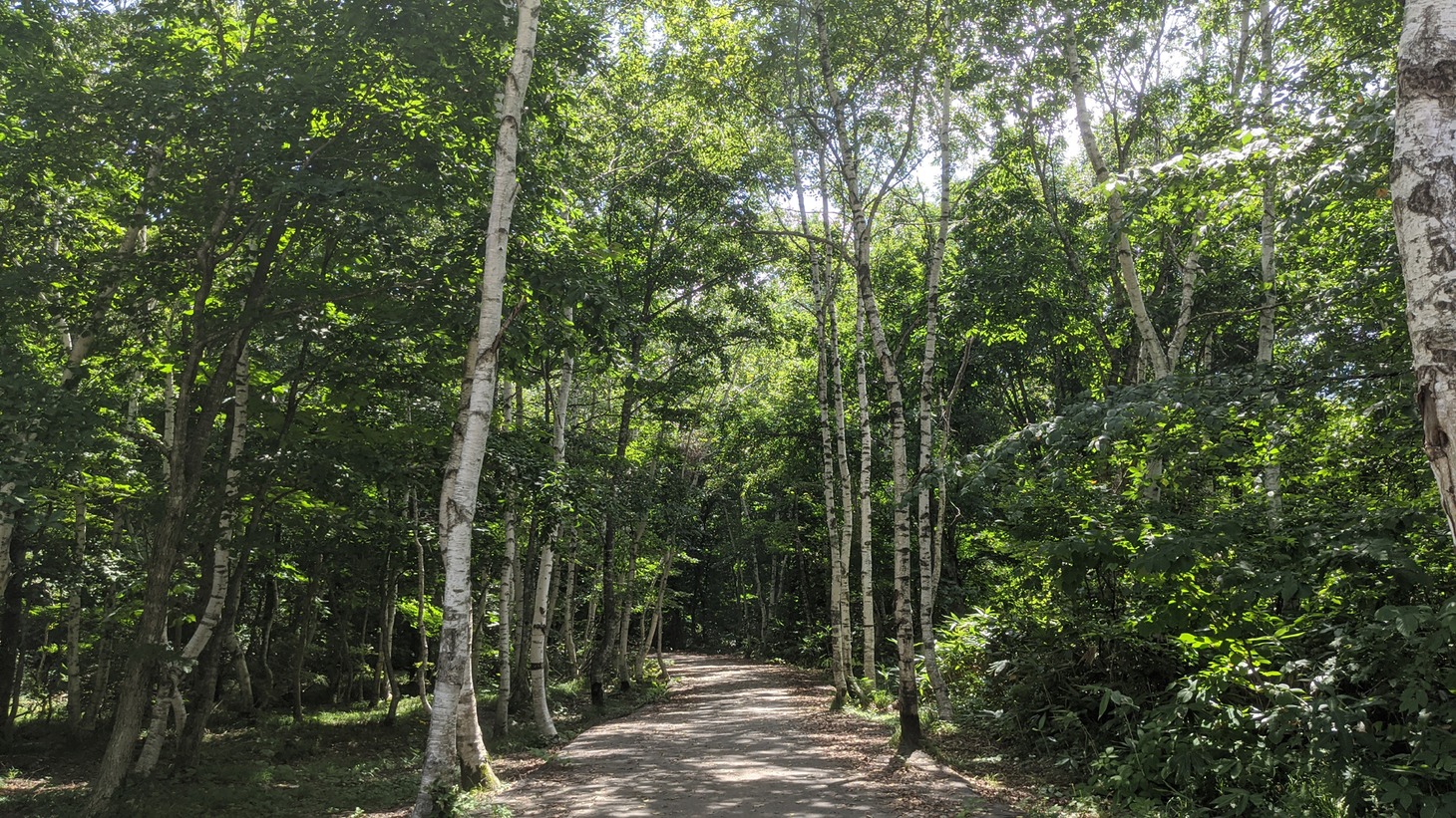 林道