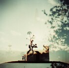 TK（凛として時雨）に聞く、旅と音楽のこと