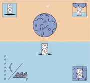 チリヌルヲワカ「サピエント」ジャケット