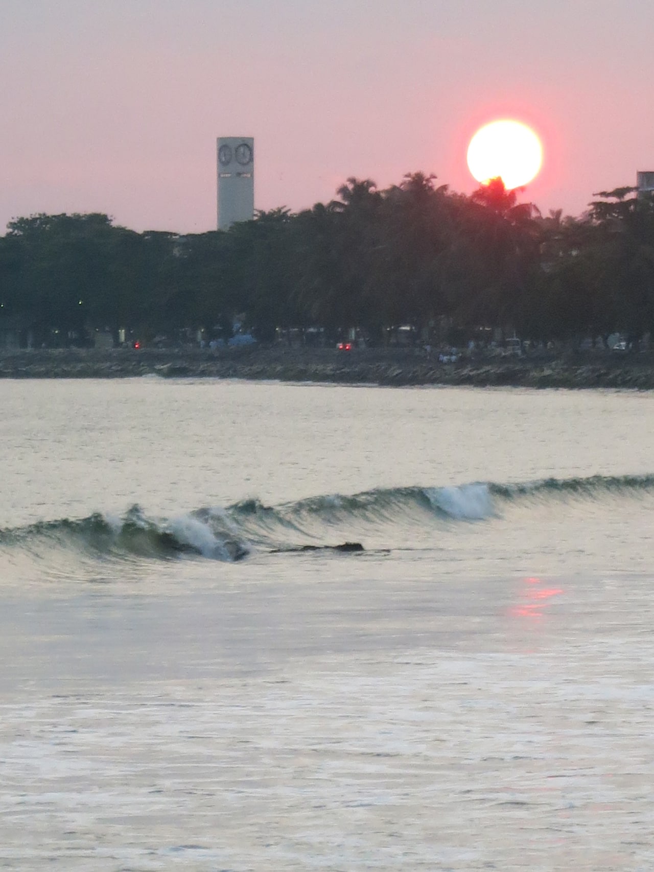 2015年1月、スリランカ・ゴールにて。