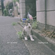 ズーカラデル「TAPIOCA」配信ジャケット