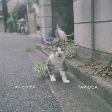 ズーカラデル「TAPIOCA」配信ジャケット