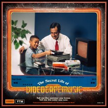 VIDEOTAPEMUSIC「The Secret Life of VIDEOTAPEMUSIC」アナログ盤ジャケット