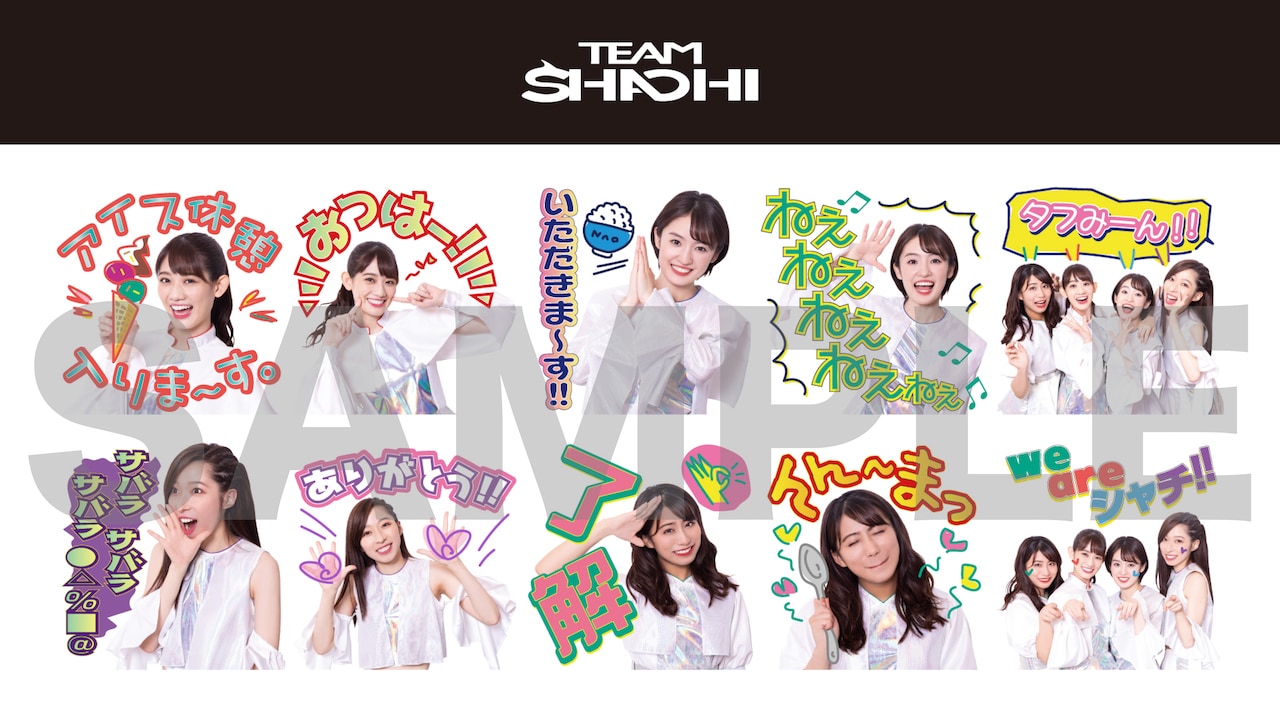 「TEAM SHACHI オリジナルLINEスタンプ風ステッカーシート」イメージ