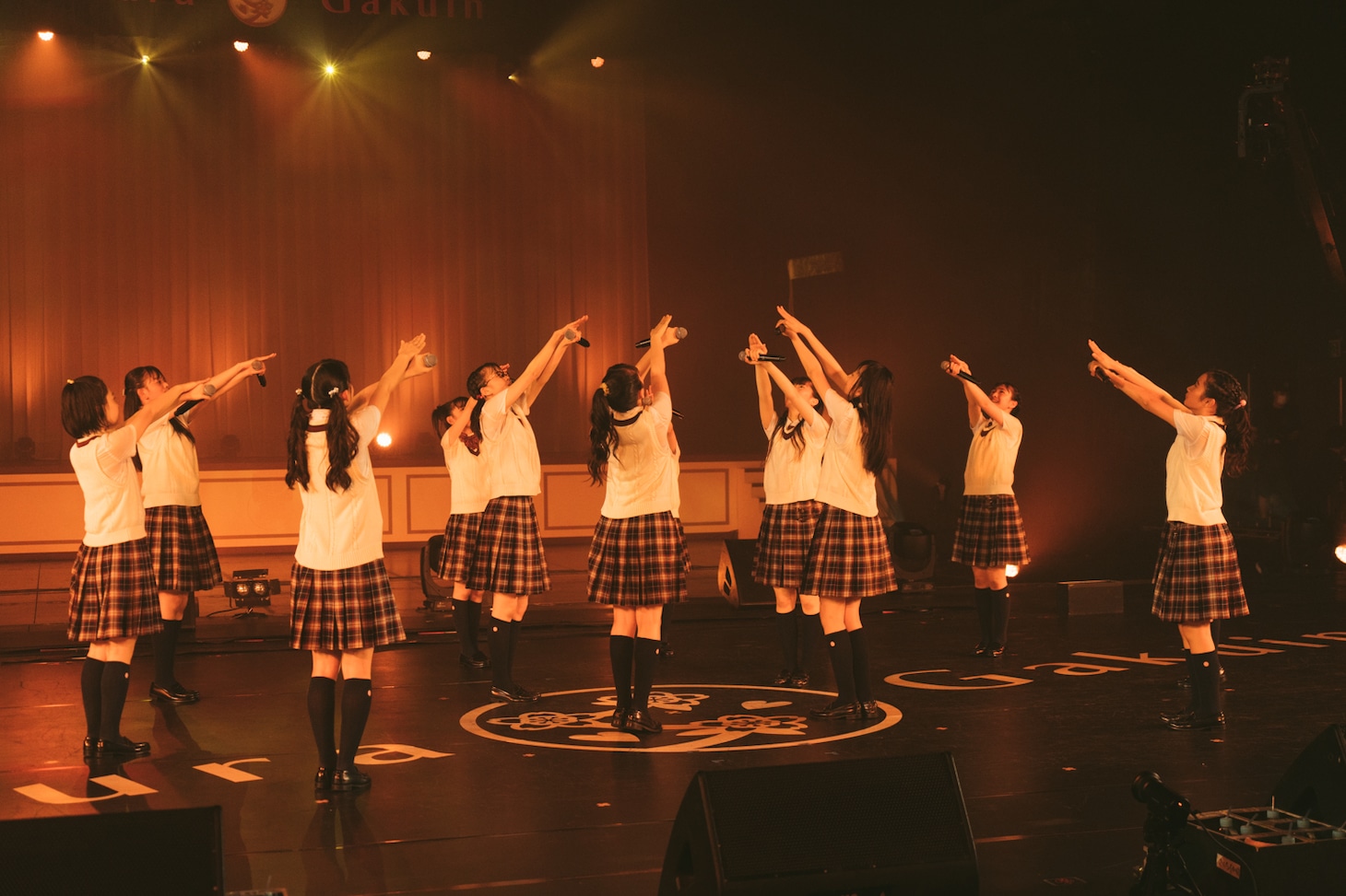 「The Road to Graduation 2019 Final ～さくら学院 2019年度 卒業～」の様子。（写真提供：アミューズ）