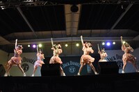 超ときめき▽宣伝部による東京・としまえんファイナルライブの様子。