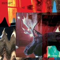 ROTH BART BARON「NEVER FORGET」配信ジャケット