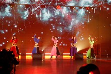 豆柴の大群（写真提供：エイベックス）