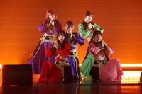 豆柴の大群（写真提供：エイベックス）