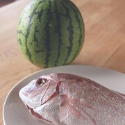 浪漫革命&ザ・おめでたズ「ハイレグBIKINI」予告動画のワンシーン。