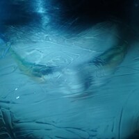 玉名ラーメン「Gate」配信ジャケット