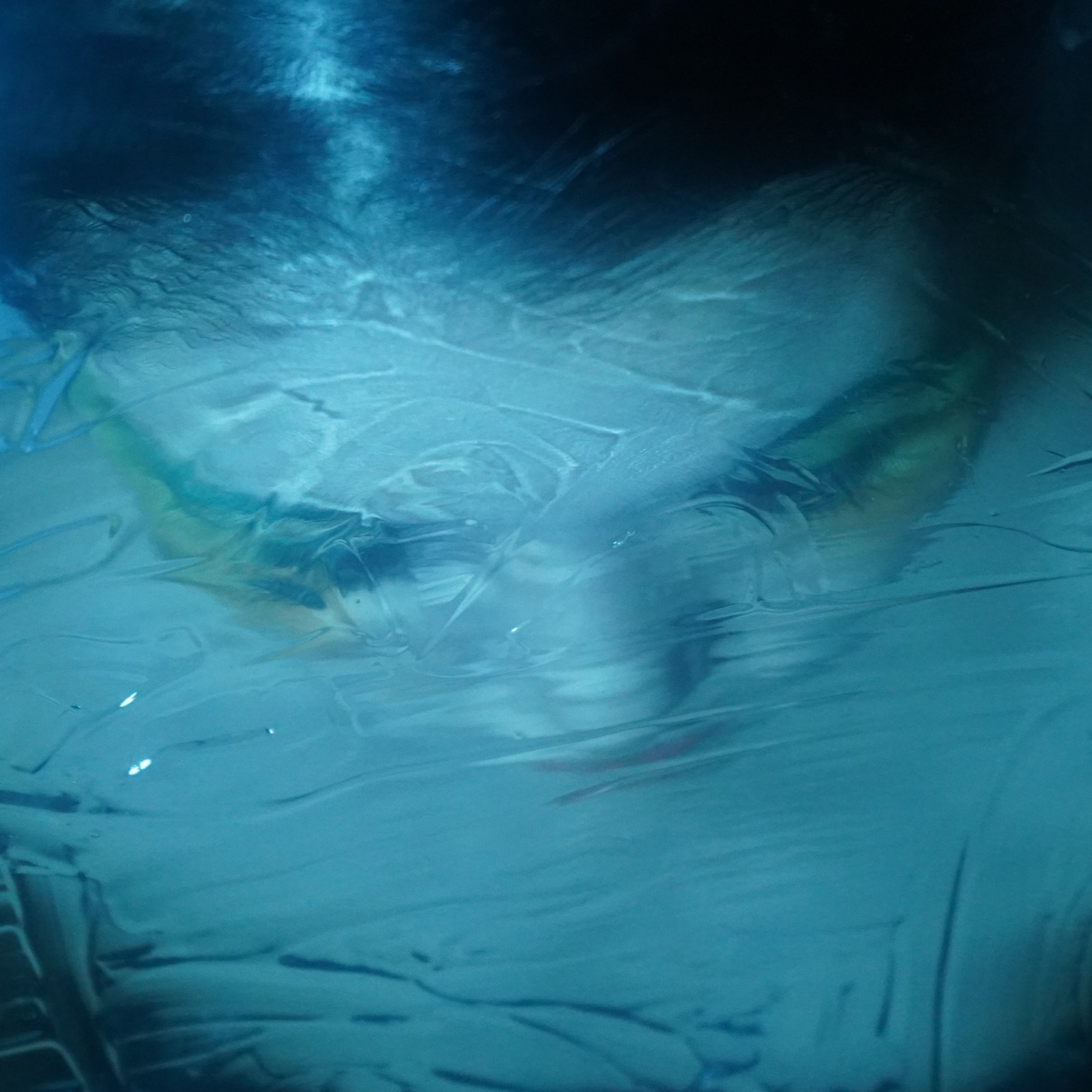 玉名ラーメン「Gate」配信ジャケット