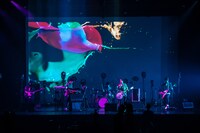 マカロニえんぴつ「マカロックONLINEワンマン～豊洲から愛を込めて～」の様子。（撮影：ヤオタケシ）