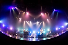 マカロニえんぴつ「マカロックONLINEワンマン～豊洲から愛を込めて～」の様子。（撮影：ヤオタケシ）