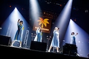 PARADISES(Photo by sotobayashi kenta)