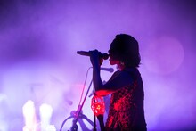 中納良恵（Vo）（撮影：仁礼博）