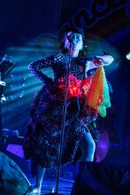 中納良恵（Vo）（撮影：仁礼博）