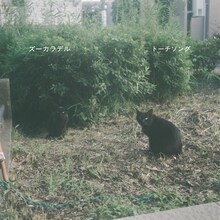 ズーカラデル「トーチソング」配信ジャケット