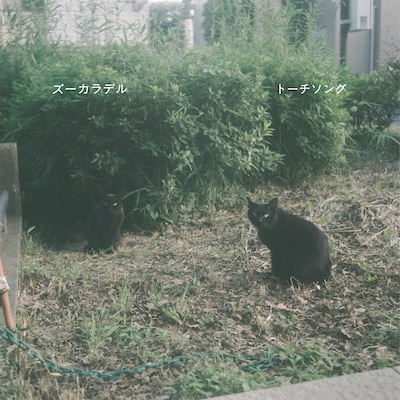 ズーカラデル「トーチソング」配信ジャケット