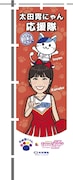 太田胃にゃん応援隊のぼり旗の百田夏菜子バージョン。(写真提供:太田胃散 PR事務局)