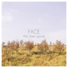 the shes gone「FACE」ジャケット