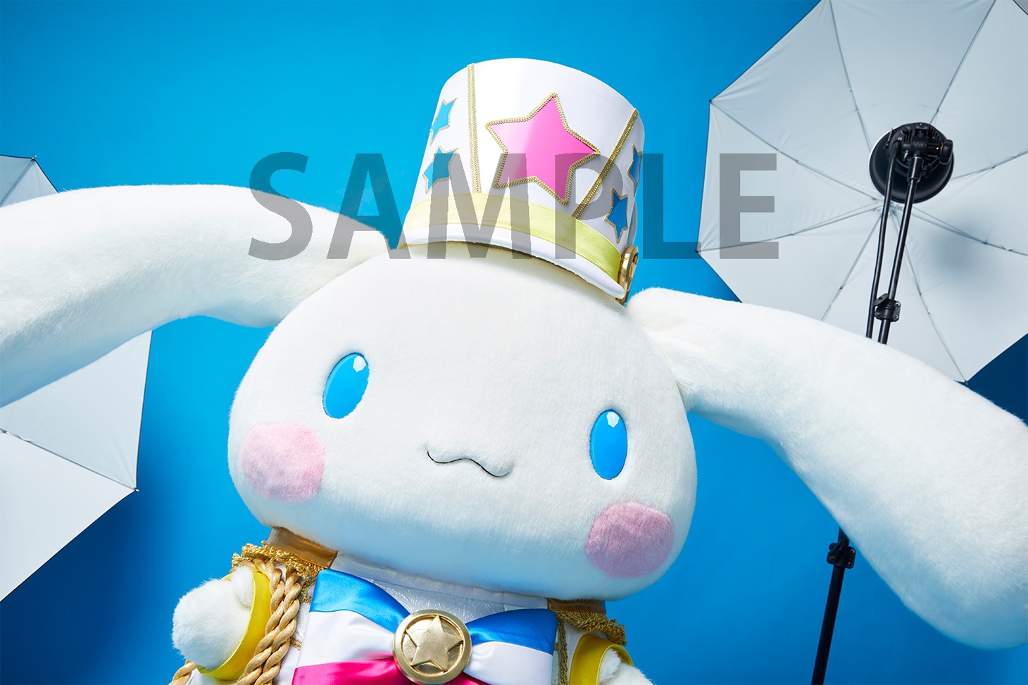 シナモロール「ふれーふれーがんばれー！ / しあわせのラベル」アニメイト購入特典の撮り下ろし生写真。