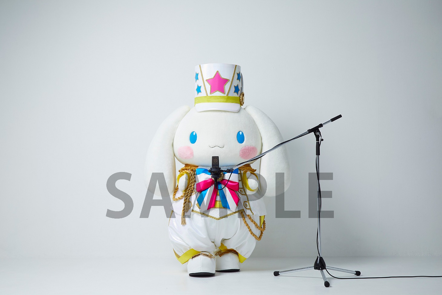 シナモロール「ふれーふれーがんばれー！ / しあわせのラベル」楽天ブックス購入特典の撮り下ろし生写真。