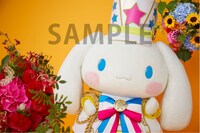 シナモロール「ふれーふれーがんばれー！ / しあわせのラベル」タワーレコードおよびタワーレコード オンライン購入特典の撮り下ろし生写真。