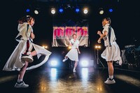 Malcolm Mask McLaren「SONIC BOOM TOUR 東京追加公演 ～Malcolm Mask McLaren 5th anniversary～」の様子。（写真提供：エイジアプロモーション）