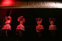 スクリーンがせり上がり、姿を現すサンダルテレフォン。