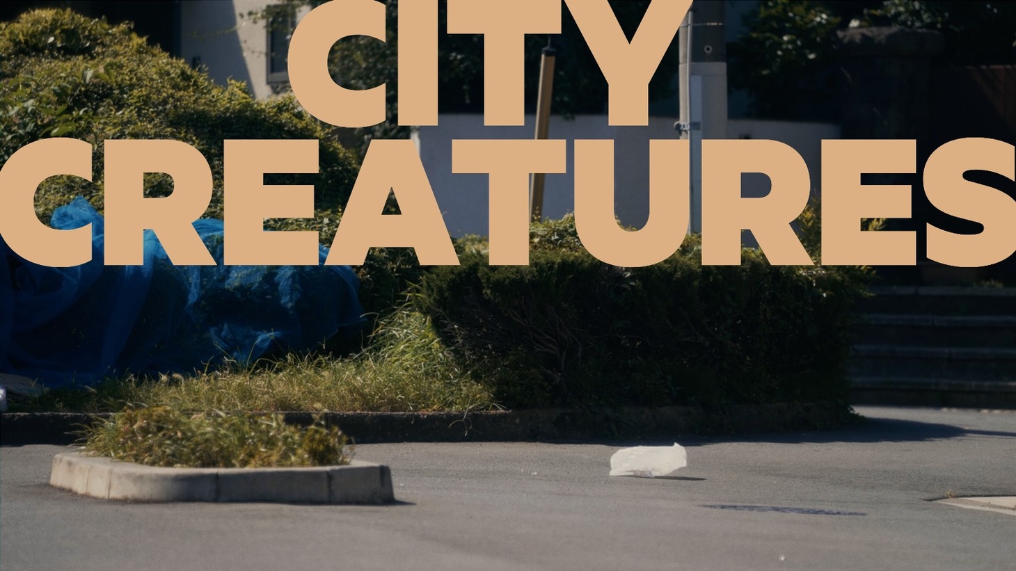 U-zhaan, BIGYUKI「City Creatures」ミュージックビデオより。
