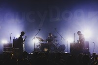 Saucy Dog（撮影：白石達也）