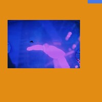 環ROY「Flowers」配信ジャケット