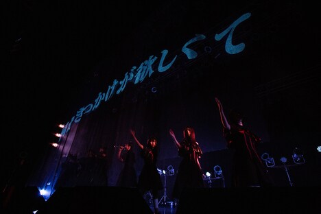 BenjaminJasmine結成1周年記念ワンマンライブの様子。