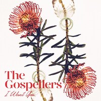 ゴスペラーズ「I Want You」配信ジャケット