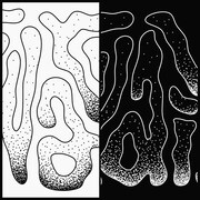 JIN KAWAGUCHI「AWARE / CLAVIS」ジャケット